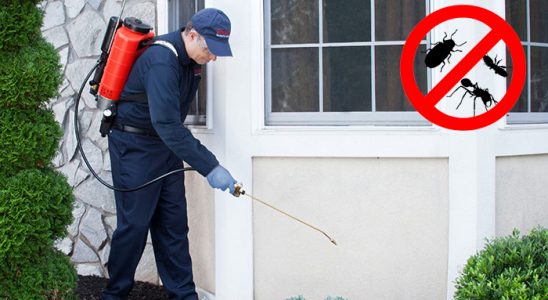 Ladik Hamam Böceği İlaçlama böcek ilaçlama ve haşere kontrolü — ilaclama-tr.com